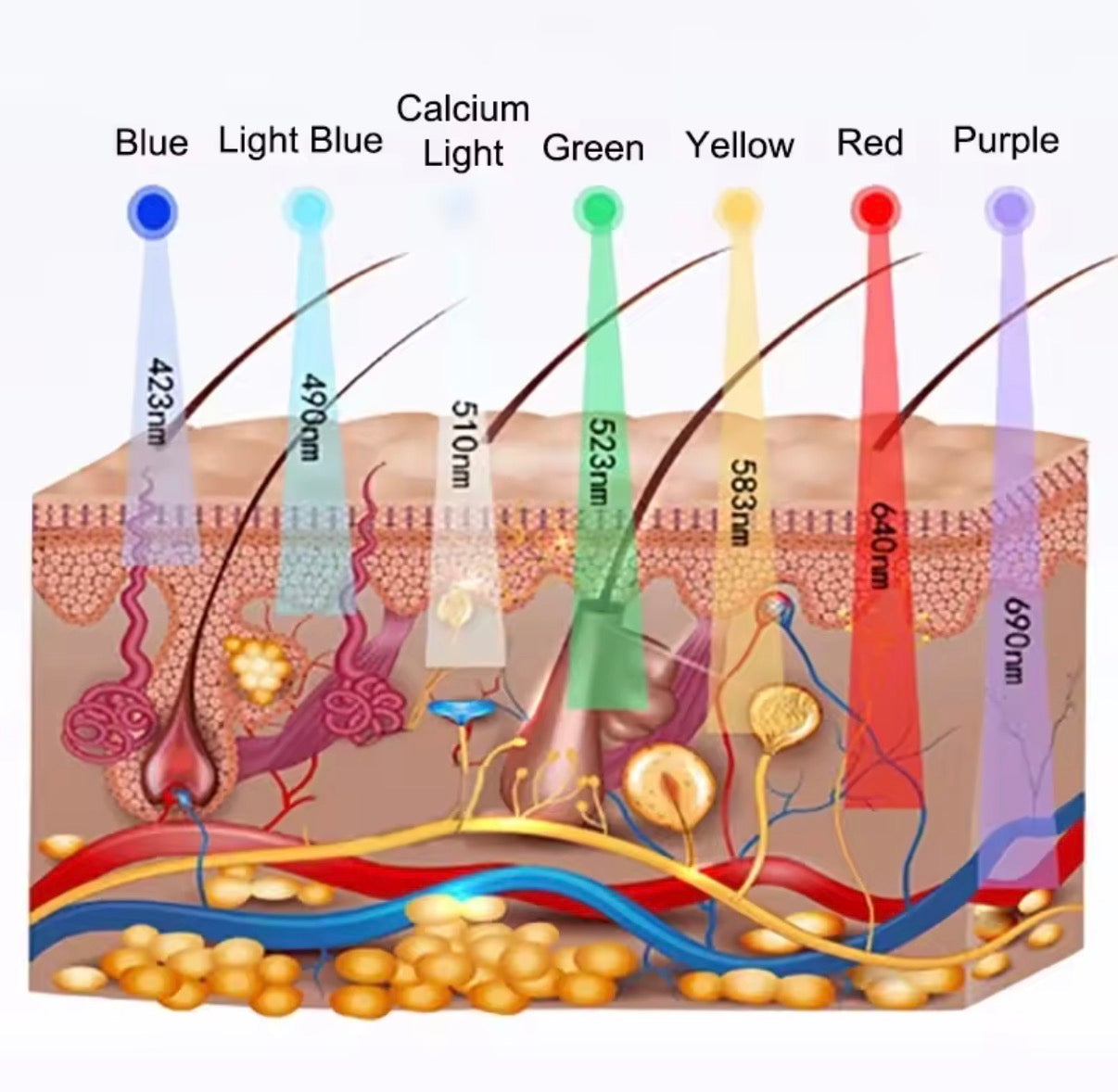 7-Color LED Face & Neck Therapy Set – Photon Light Mask with Hot & Cold Spray for Anti-Aging & Acne Care